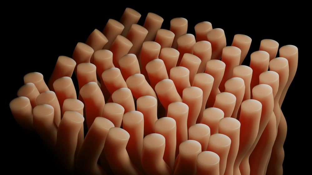 Trendy kunstige negle: Hemmeligheden bag perfekte hænder